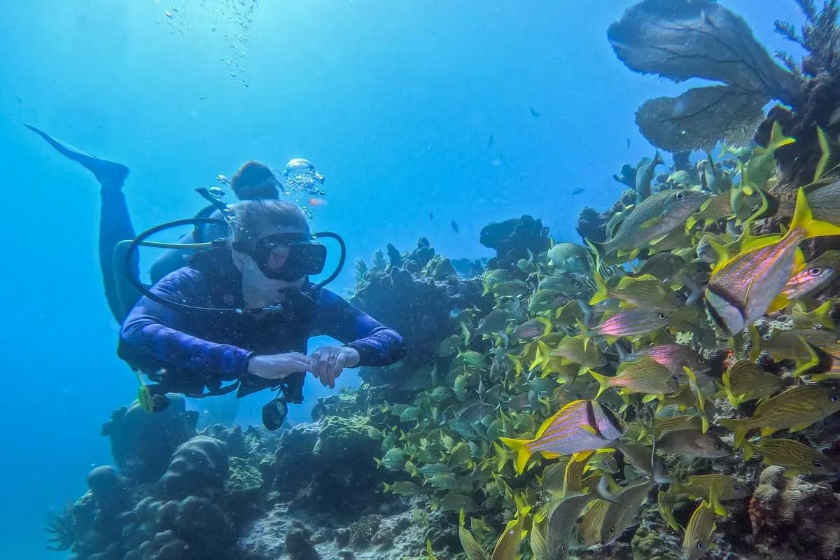 Tauchschule Playa del Carmen: Professionelles Training und top Ausrüstung