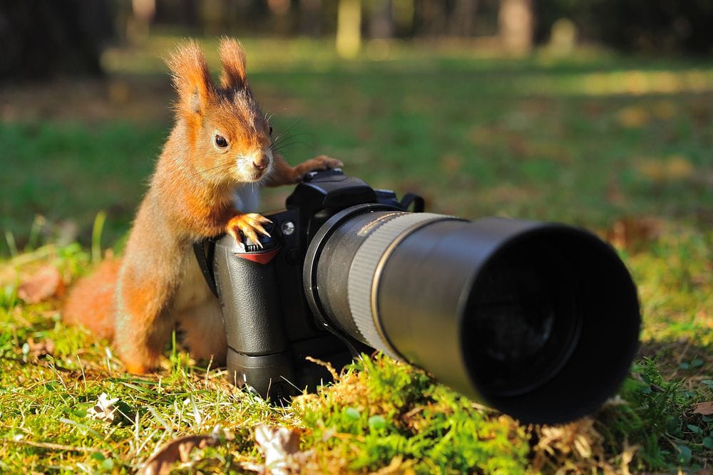 Mach mehr aus deinen Fotos – mit dem Fotokurs Hamburg