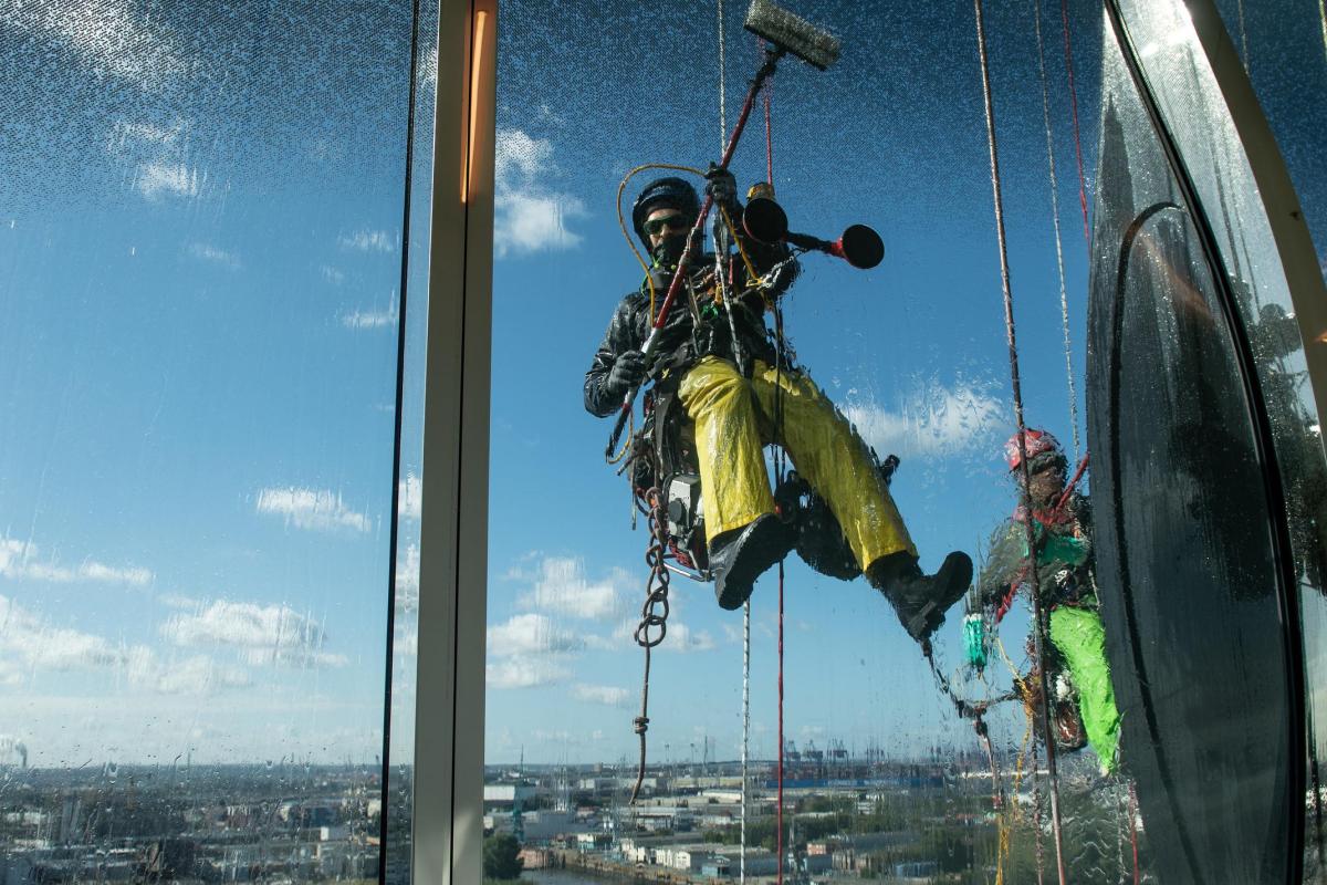 Saubere Fenster garantiert – Fensterputzer in der Nähe bei Meister-Job