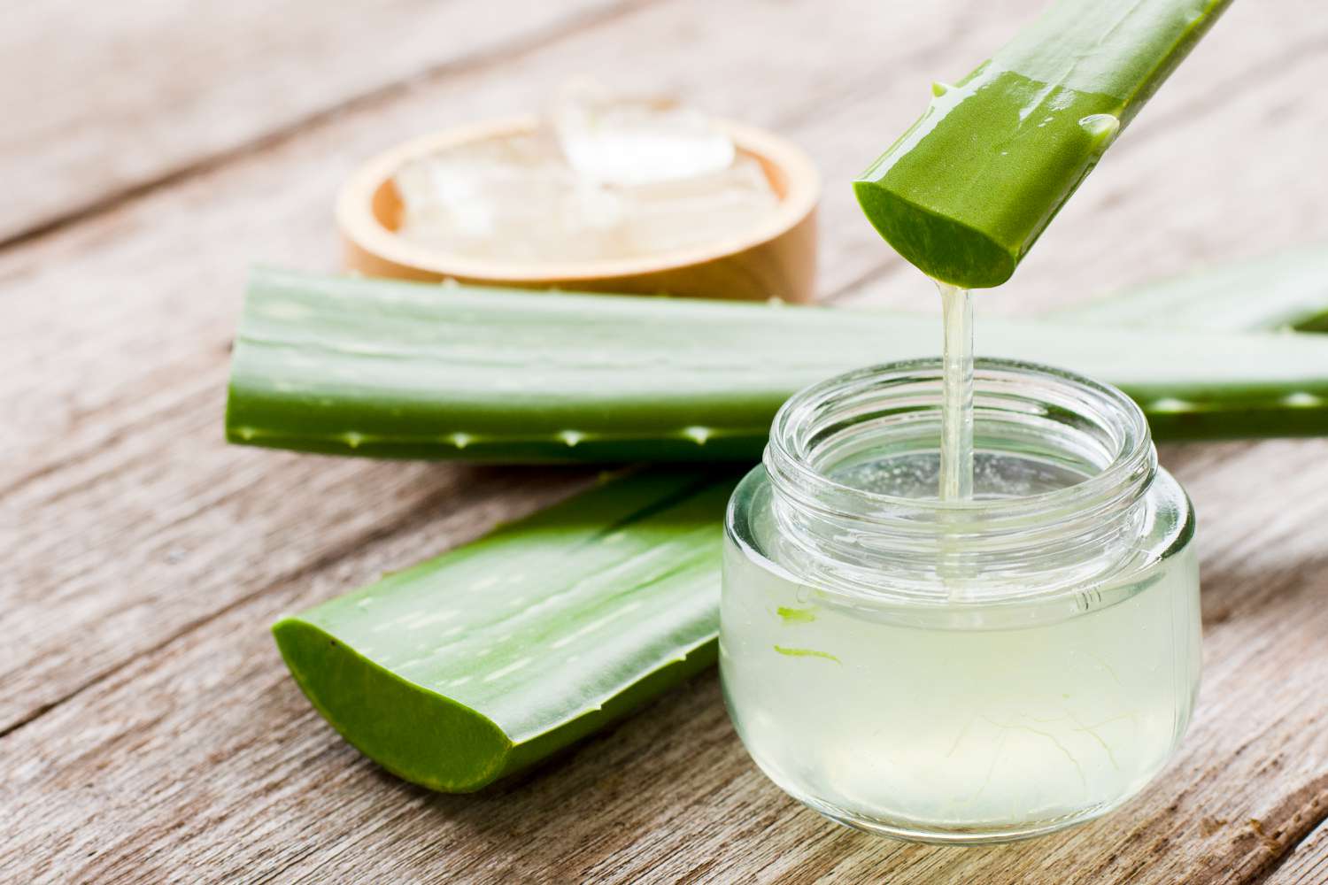 Die Kraft von Forever Aloe Vera: Entdecken Sie die Vielseitigkeit der Forever Aloe Vera Produkte