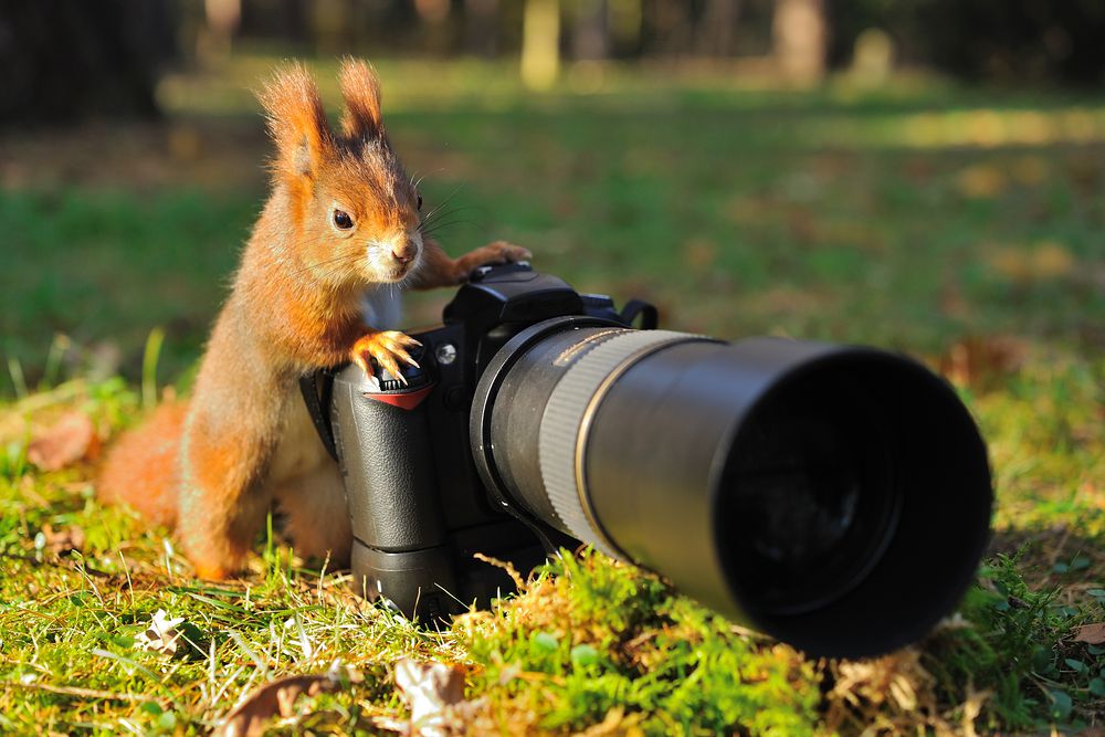 Mach mehr aus deinen Fotos – mit dem Fotokurs Hamburg